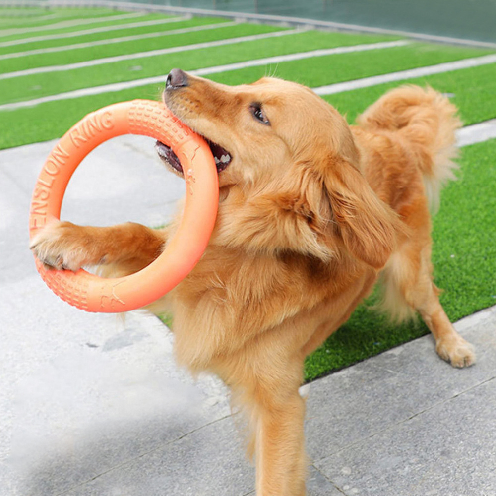 Suction Cup Dog Tug Toy - 1pc Orange Dog Toys Pet Flying