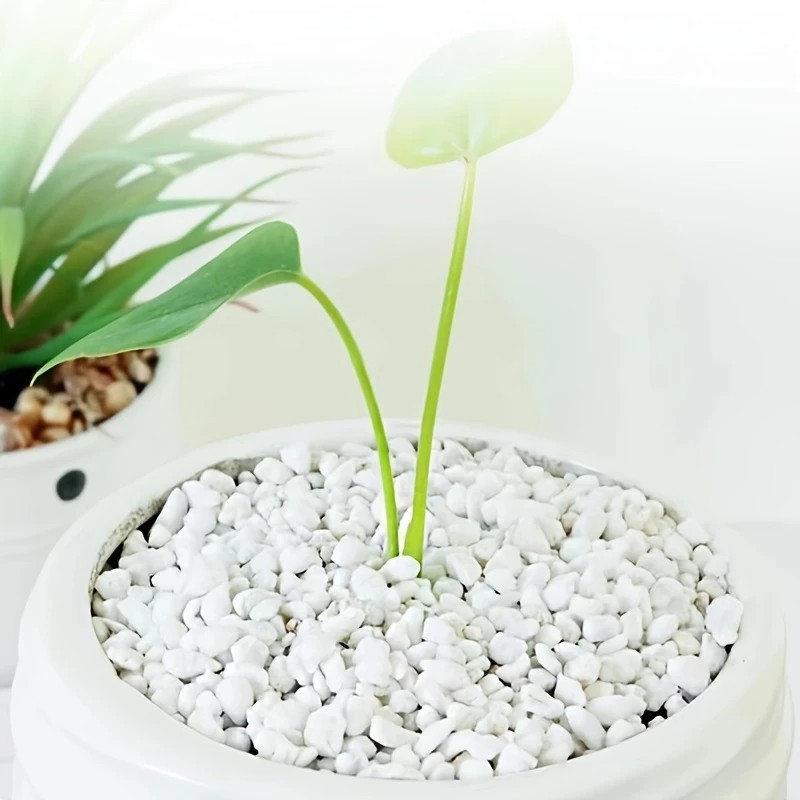 Pet Beds - 1L high-quality perlite succulent orchid universal