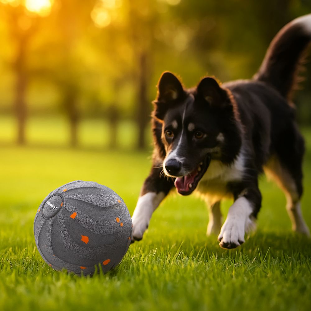Automatic Moving Dog Ball - Bite Resistant Smart Dog Toy Ball