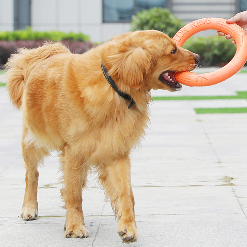 1pc Orange Dog Toys Pet Flying - Suction Cup Dog Tug Toy 评论和价格