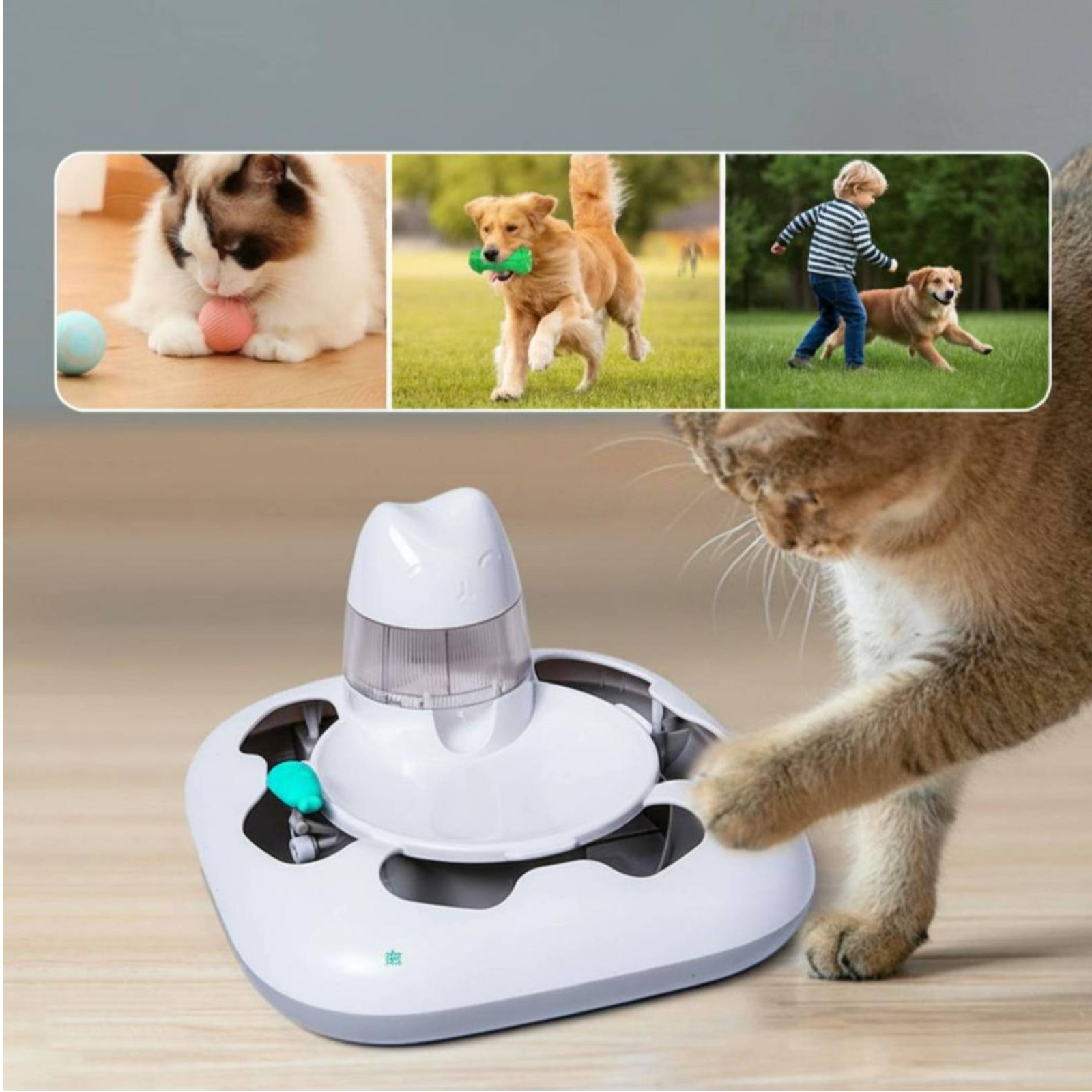 Cat Hunting Game Machine Inter - Cat Toys 评论和价格