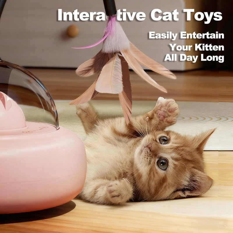 Low Noise 2 in 1 Rechargeable  - Laser Pointer Cat Toy Automatic 评论和价格