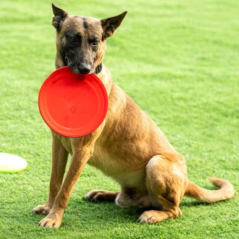 Hard Plastic Dog Frisbee  Paw  - Flying Disc Dog Training Toy 评论和价格