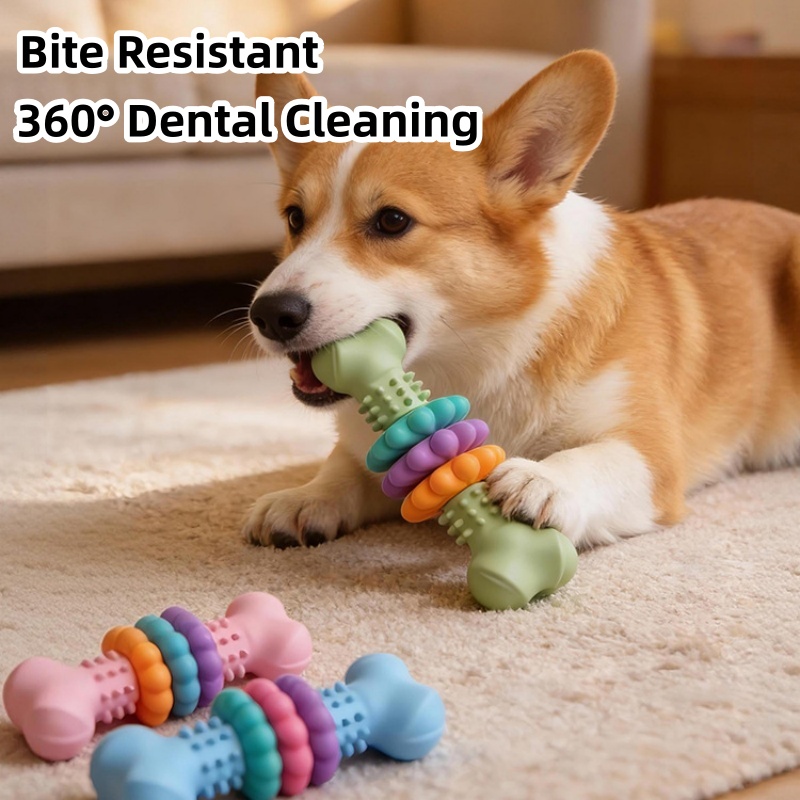Durable TPR Dog Chew Toy Bone  - Teeth Cleaning Dog Chew Bone 评论和价格