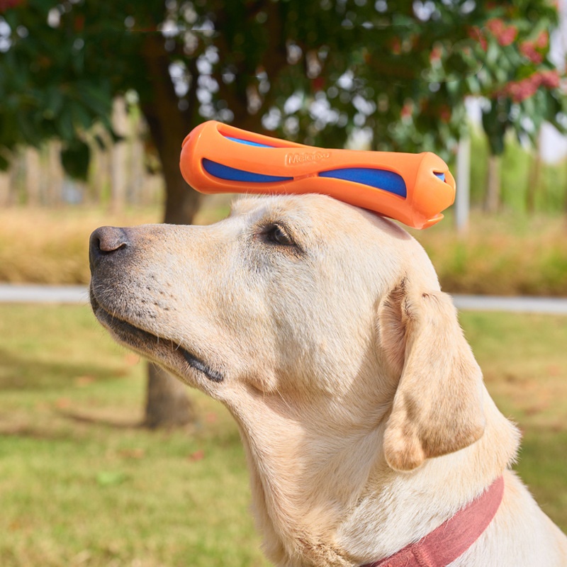 Indestructible Floating Dog Ch - Indestructible Dog Chew Toy 评论和价格