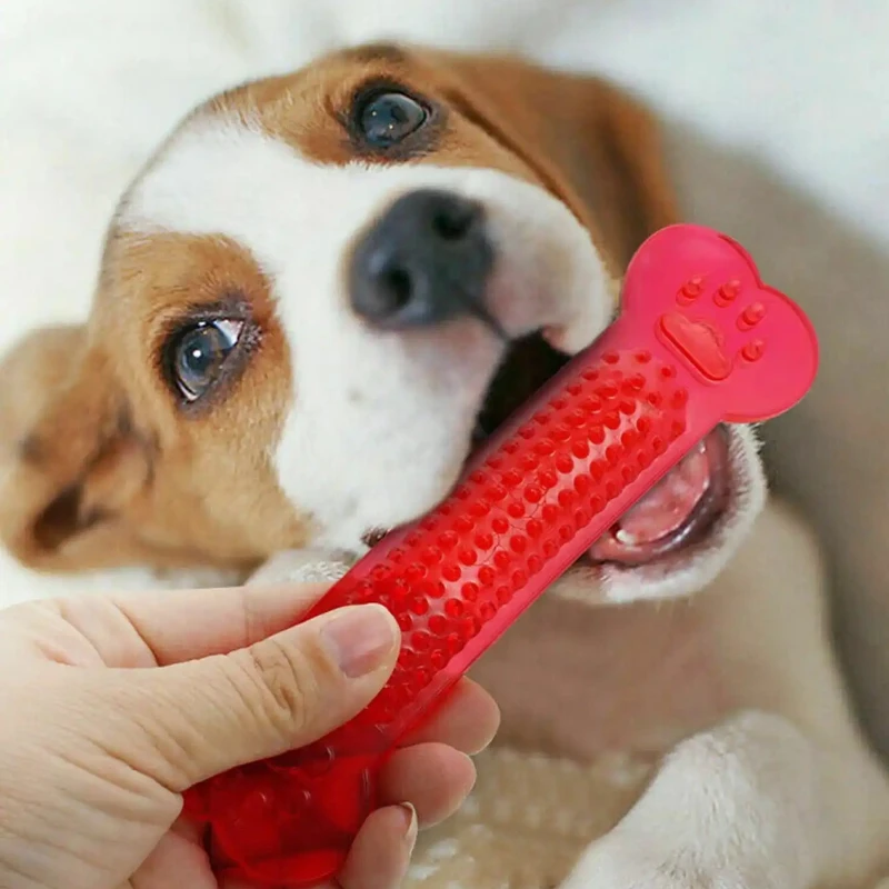 Super Tough Dog Bone Chew Toy  - Teeth Cleaning Dog Chew Bone 评论和价格
