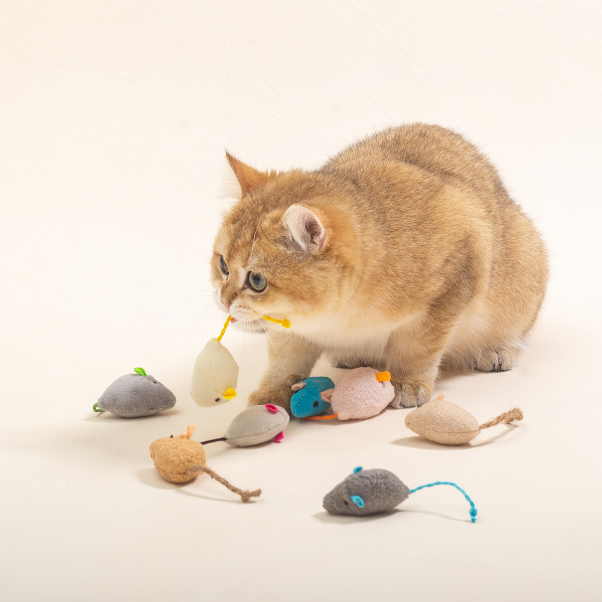 16PCS Interactive Cat Mice Toy - Catnip Interactive Plush Mouse 评论和价格