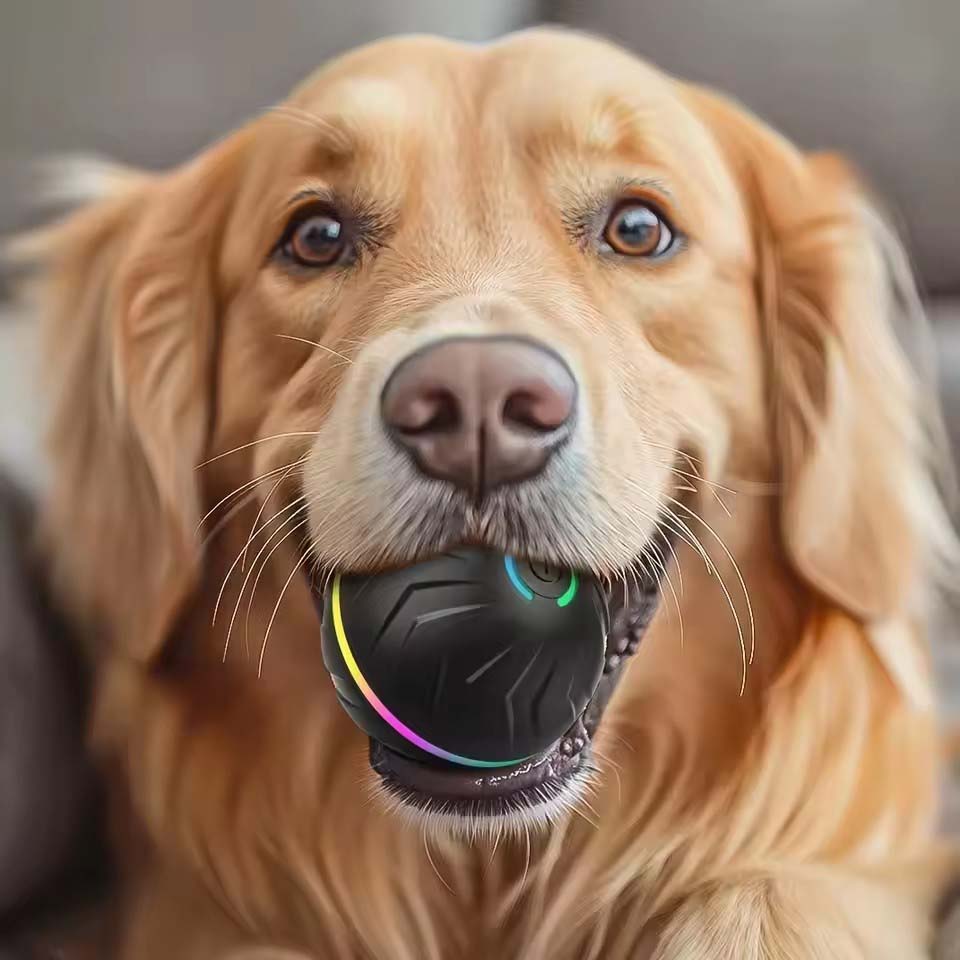 Interactive Smart Dogs Toys Ba - Automatic Moving Dog Ball 评论和价格
