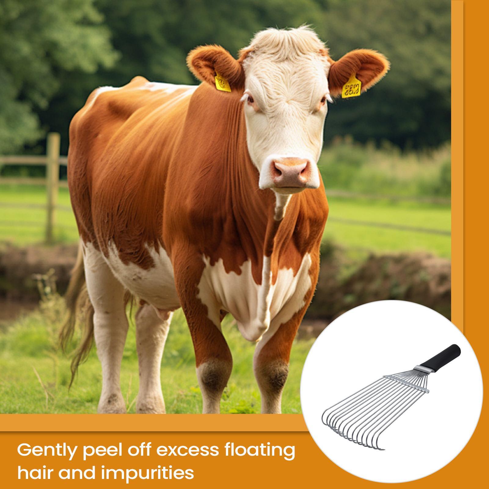 Horse Grooming Rake Shedding B - Pet Grooming 评论和价格
