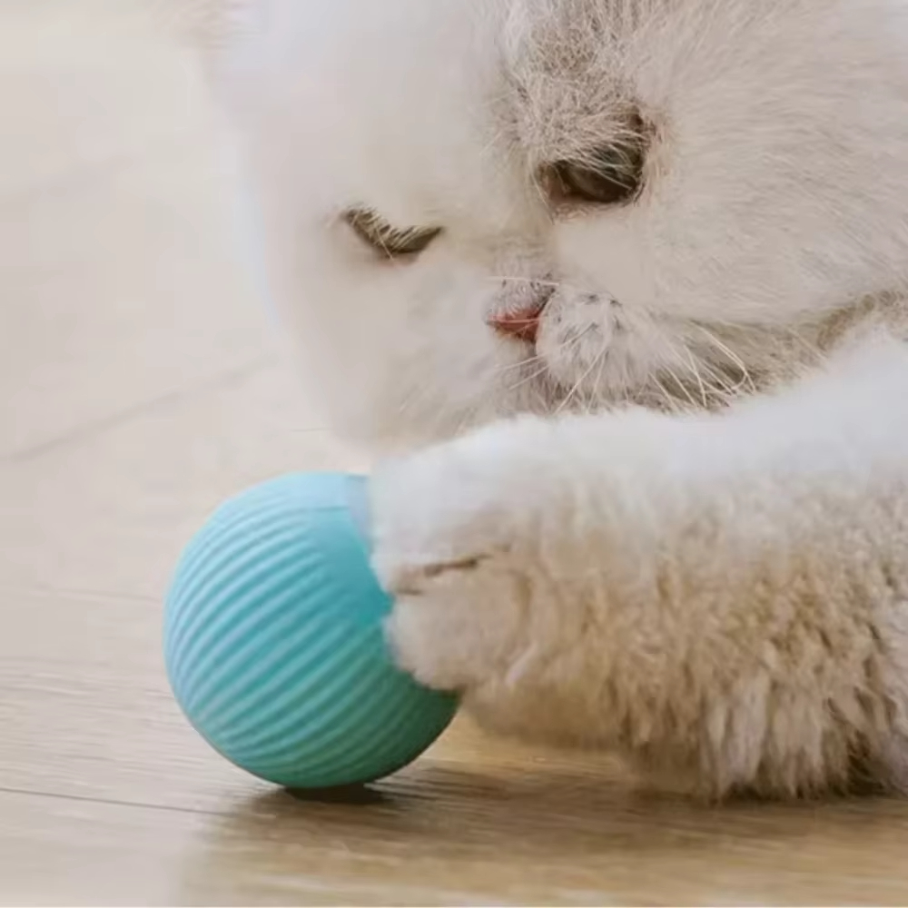Automatic Moving Ball for Dog  - Automatic Moving Dog Ball 评论和价格