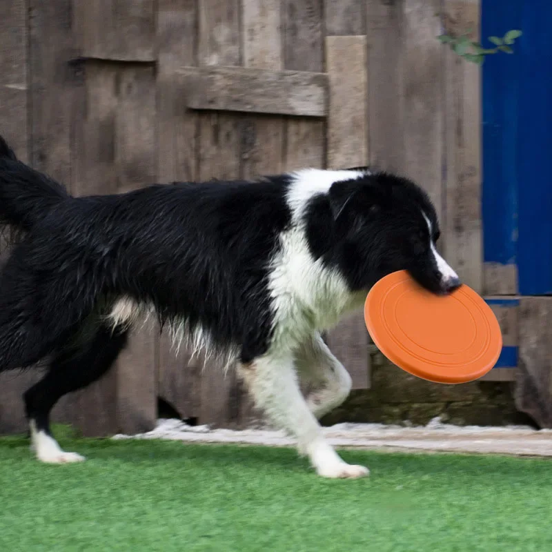 Silicone Flying Saucer Funny D - Flying Disc Dog Training Toy 评论和价格