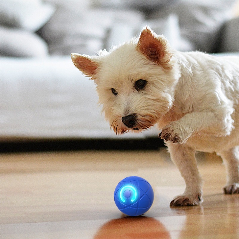Smart Dog Toy Ball USB Automat - Automatic Moving Dog Ball 评论和价格