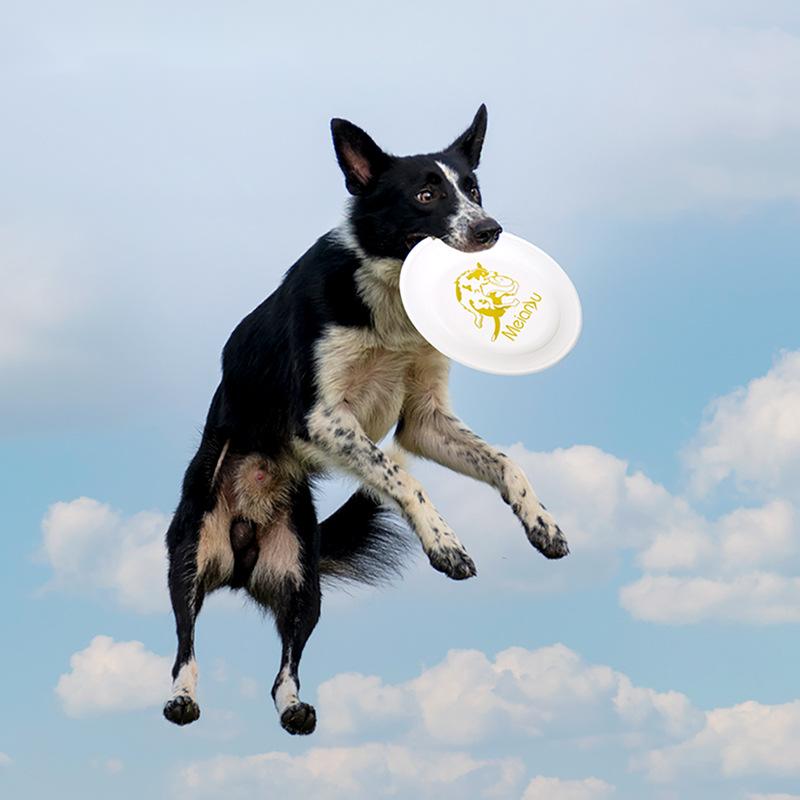 OUZEY Bite Resistant Pet Train - Flying Disc Dog Training Toy 评论和价格