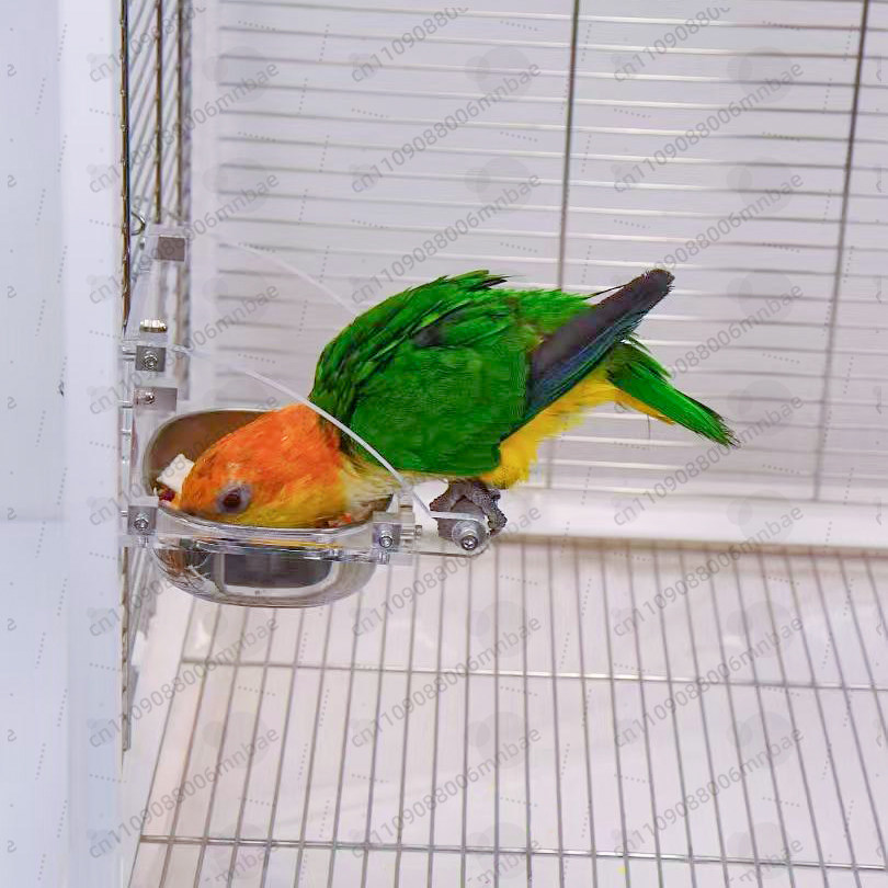 Parrot food box stainless stee - Pet Feeders 评论和价格