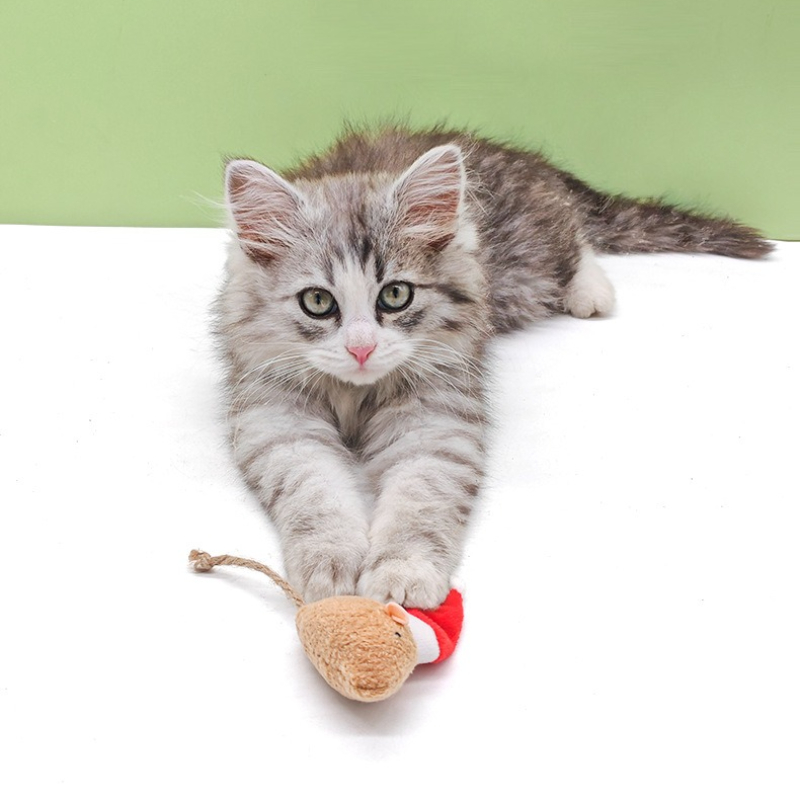 5pcs Cat Push Chew Toy Catnip  - Catnip Interactive Plush Mouse 评论和价格