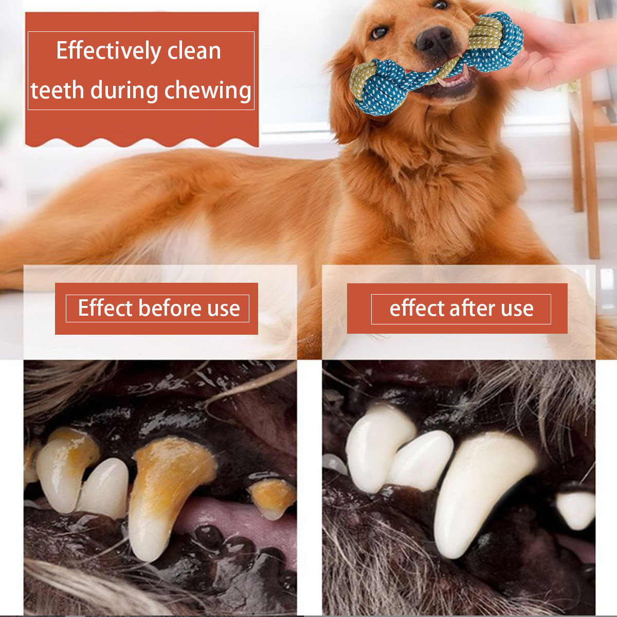 New 7PCS Pet Dog Puppy Double  - Teeth Cleaning Dog Chew Bone 评论和价格