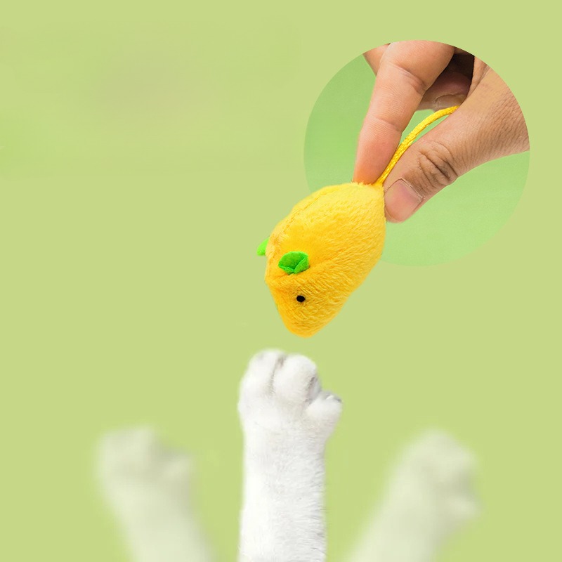 Cat Mouse Toys Interactive Cat - Catnip Interactive Plush Mouse 评论和价格