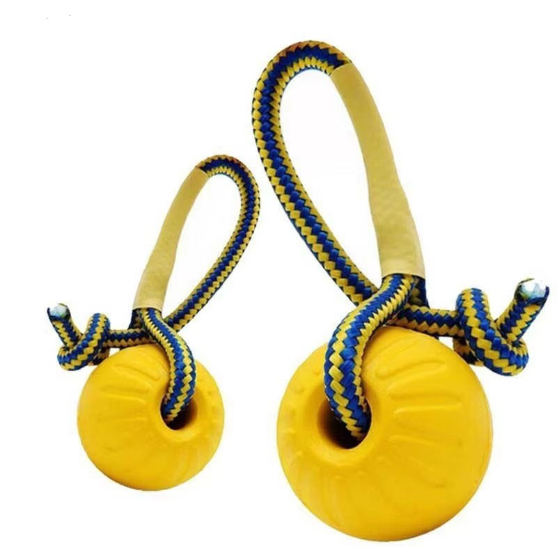 1pc Teeth Indestructible Bite  - Indestructible Dog Chew Toy 评论和价格