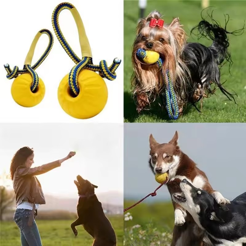 1pc Teeth Indestructible Bite  - Indestructible Dog Chew Toy 评论和价格