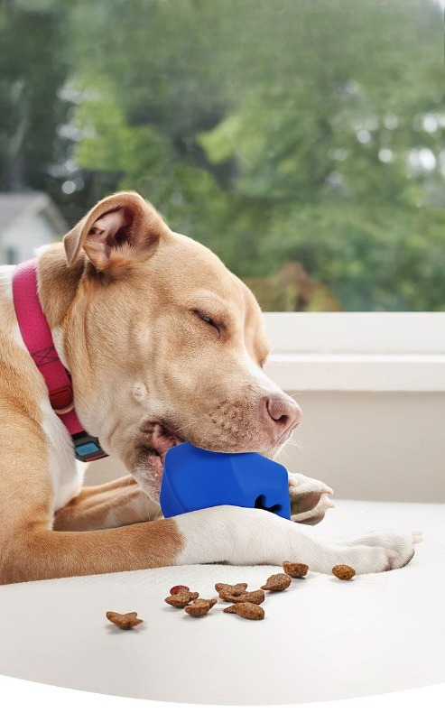 Durable Rubber Dog Treat Dispe - Rubber Treat Dispensing Dog Toy 评论和价格