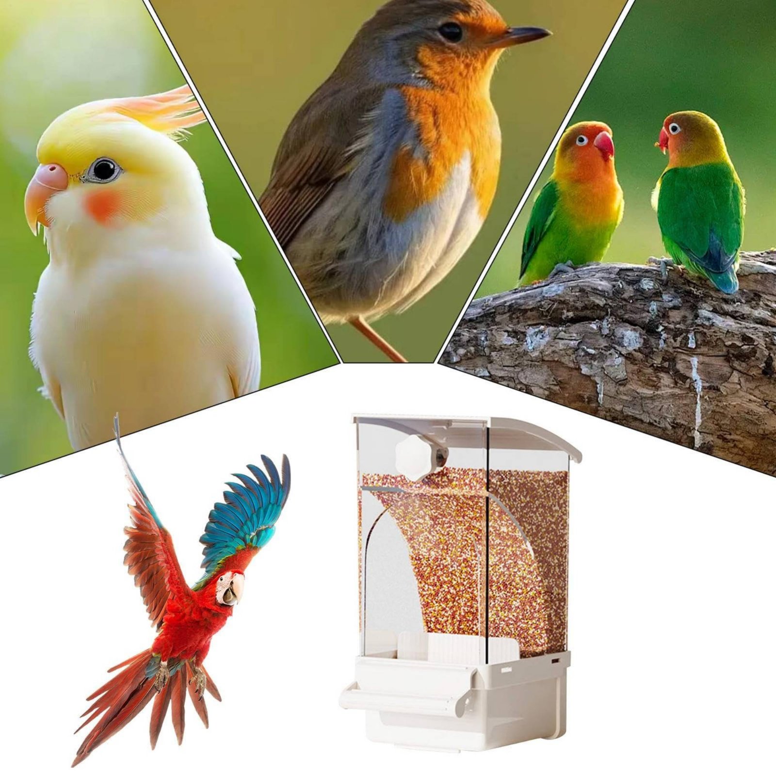 Automatic Avian Feeder Husk Se - Pet Feeders 评论和价格