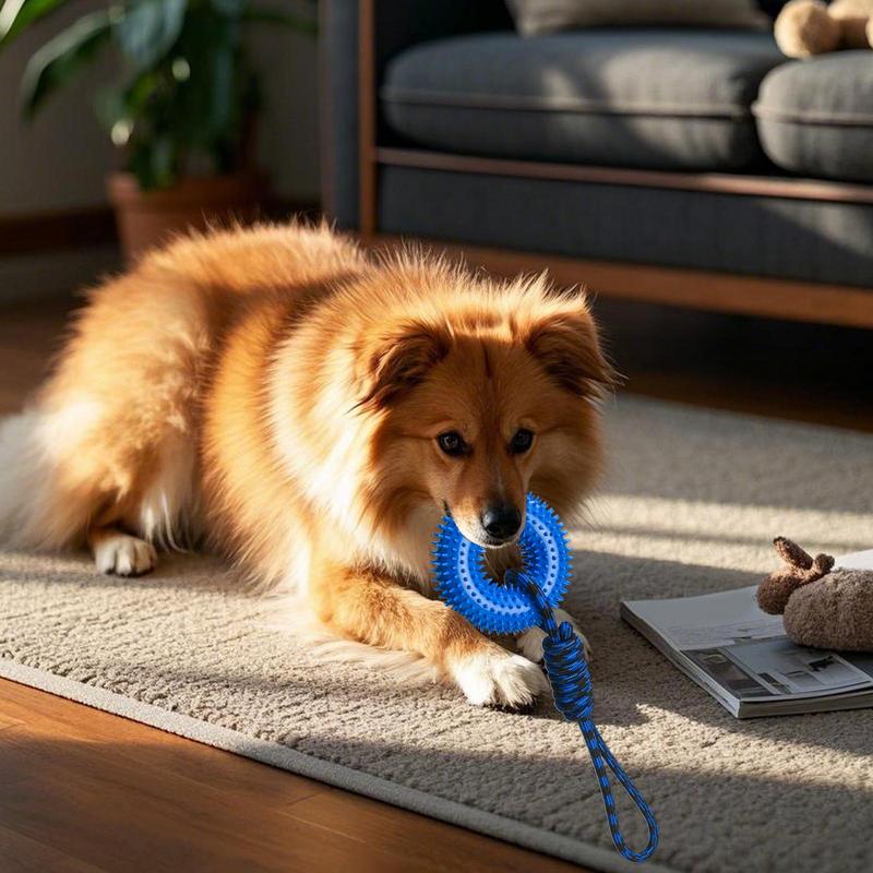 Squeaky Toys For Dogs Spiky Ri - Dog Rope Toy Aggressive Chewers 评论和价格