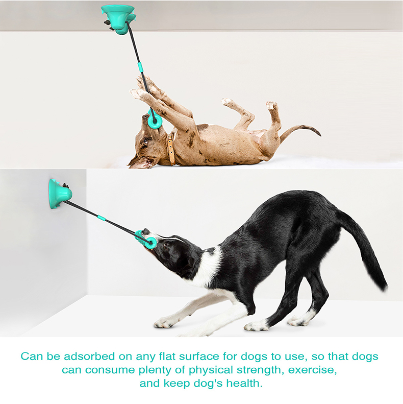 Dual Suction Cup Dog Chew Tug  - Suction Cup Dog Tug Toy 评论和价格