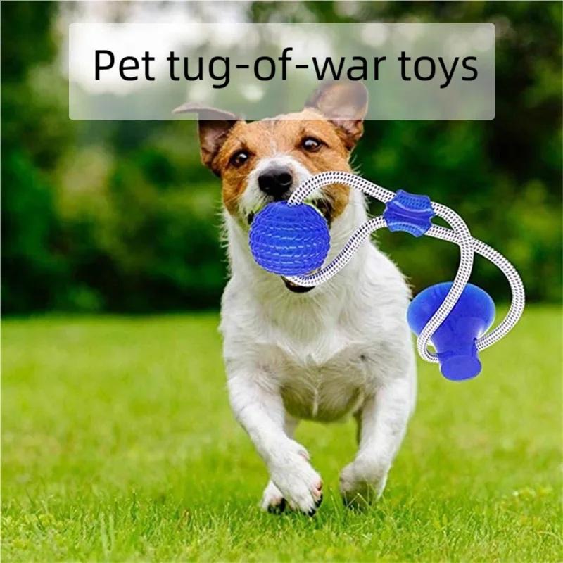 Durable Suction Cup Dog Tug To - Suction Cup Dog Tug Toy 评论和价格