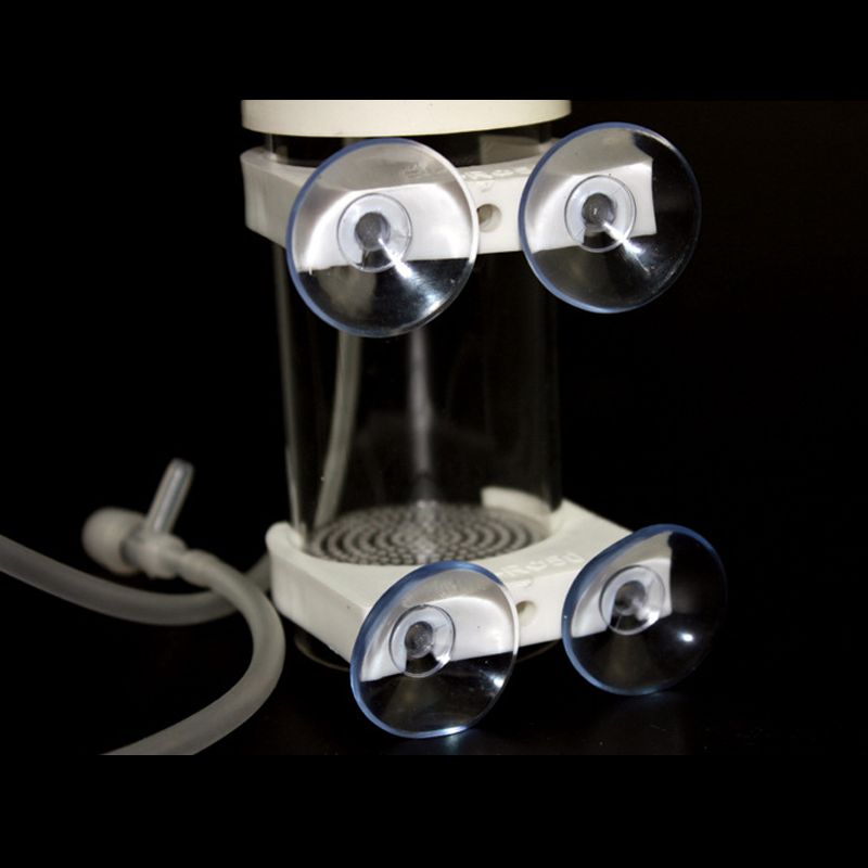 Aquarium Cichlids Tumbler Fish - Aquarium 评论和价格
