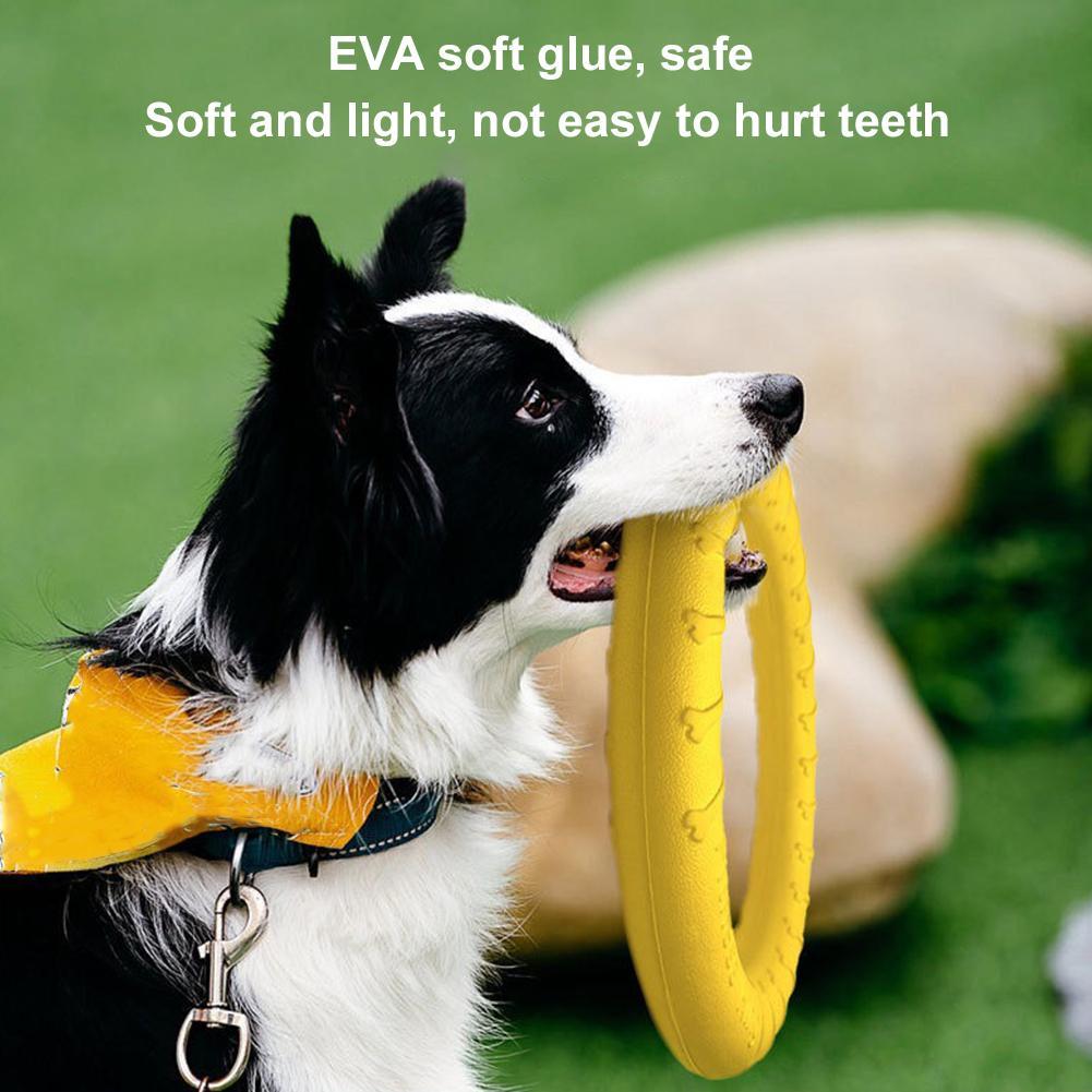Dog Ring Toys Indestructible C - Suction Cup Dog Tug Toy 评论和价格