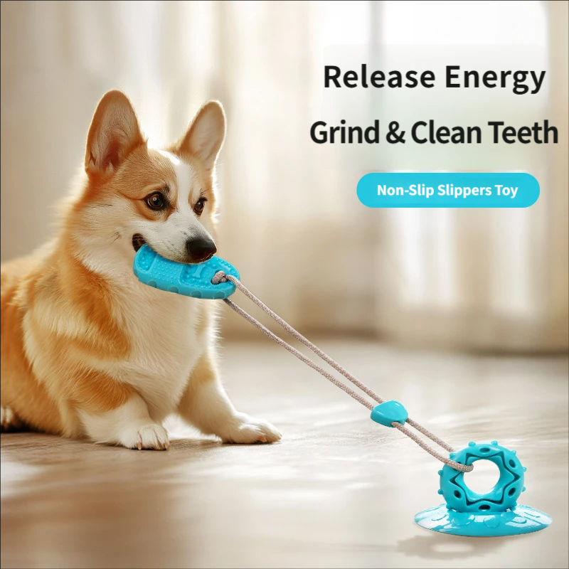 Suction Cup Dog Tug Toy Intera - Suction Cup Dog Tug Toy 评论和价格