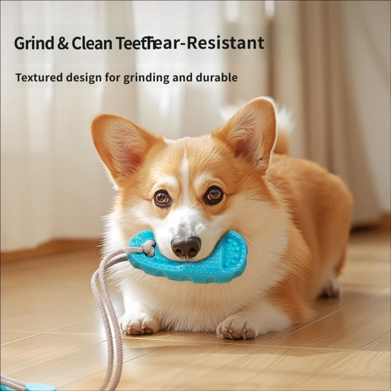 Suction Cup Dog Tug Toy Intera - Suction Cup Dog Tug Toy 评论和价格