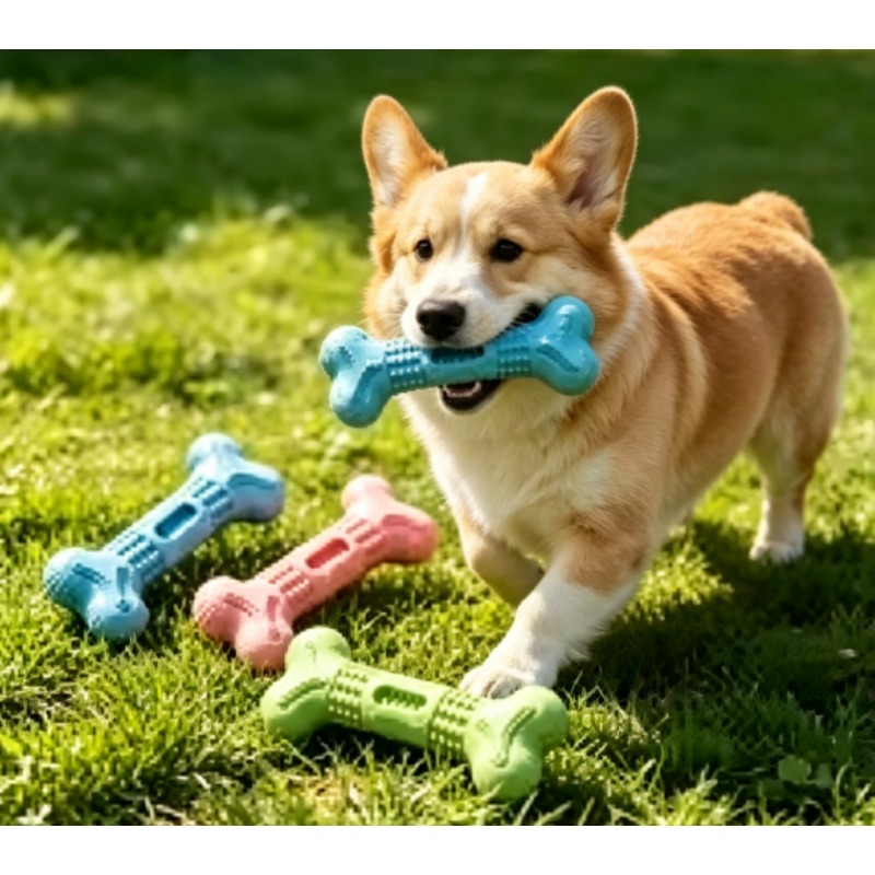 New Durable Pet Chew Toy Set D - Teeth Cleaning Dog Chew Bone 评论和价格