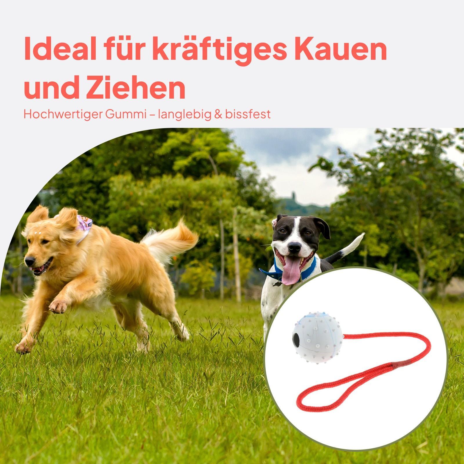 Pet Training Toy Soft Rubber C - Rubber Treat Dispensing Dog Toy 评论和价格